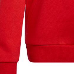 Sweat-shirt à capuche Trefoil