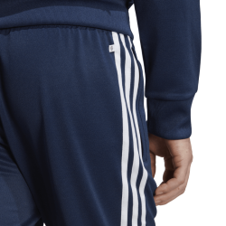 Pantalon de survêtement Adicolor Classics SST